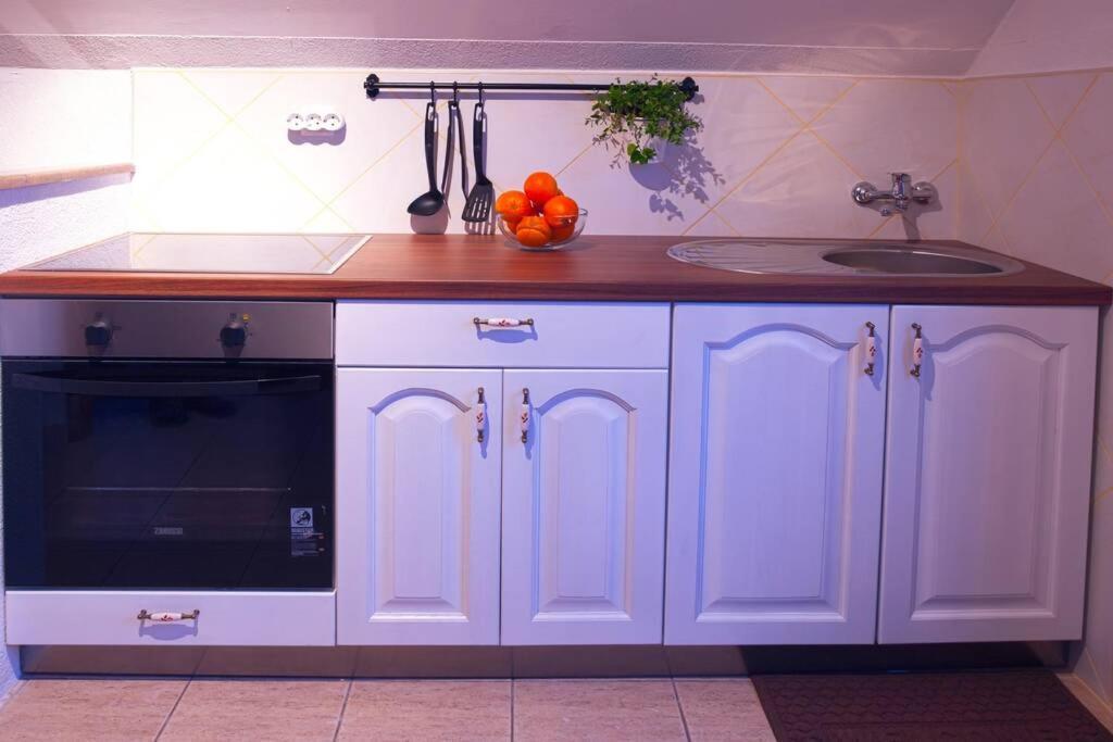 Apartman Poznanovic Daire Rakovica Dış mekan fotoğraf