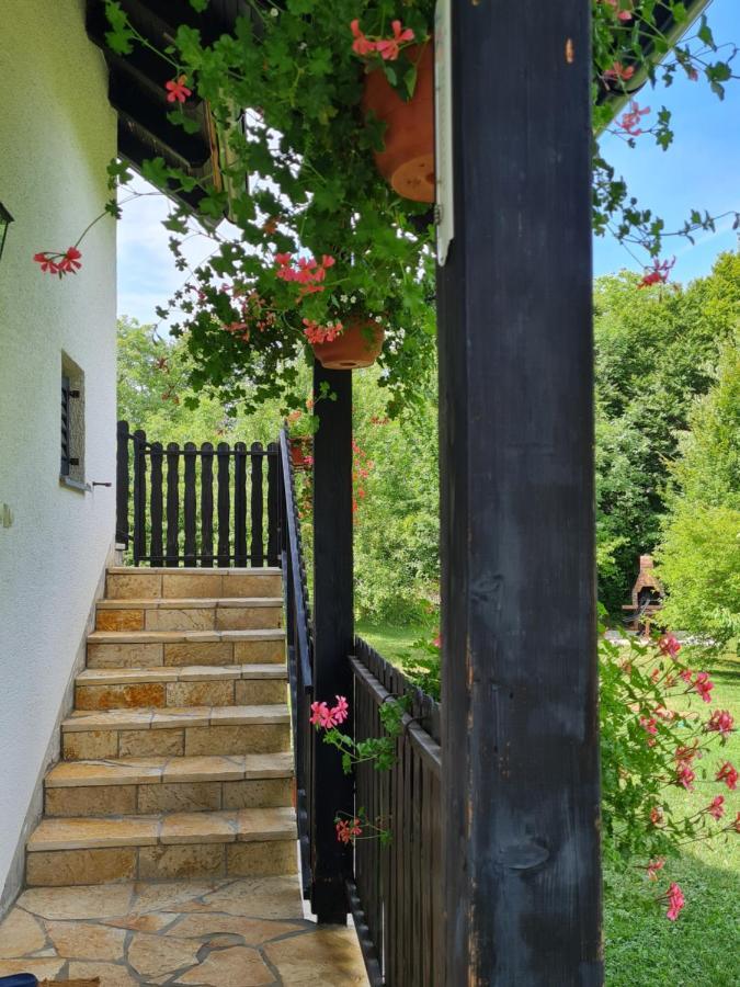 Apartman Poznanovic Daire Rakovica Dış mekan fotoğraf