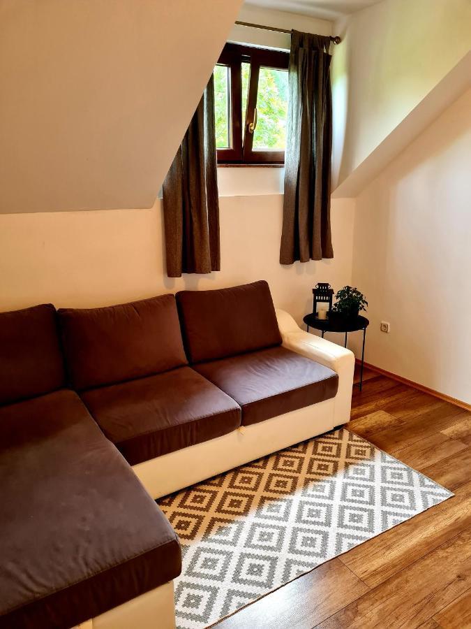 Apartman Poznanovic Daire Rakovica Dış mekan fotoğraf