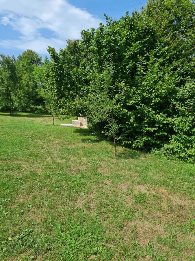 Apartman Poznanovic Daire Rakovica Dış mekan fotoğraf